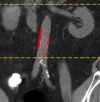 thumbnail image from paper