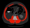 thumbnail image from paper