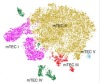 thumbnail image from paper
