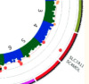 thumbnail image from paper