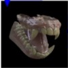 thumbnail image from paper