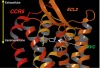 thumbnail image from paper