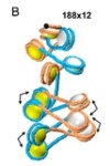 thumbnail image from paper