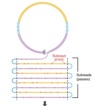 thumbnail image from paper