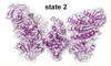 thumbnail image from paper