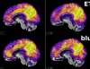 thumbnail image from paper