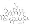 thumbnail image from paper