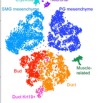 thumbnail image from paper