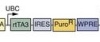 thumbnail image from paper