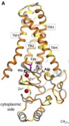 thumbnail image from paper