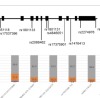 thumbnail image from paper