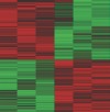 thumbnail image from paper