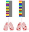 thumbnail image from paper