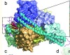 thumbnail image from paper