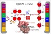 thumbnail image from paper