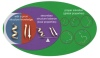 thumbnail image from paper
