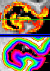 thumbnail image from paper