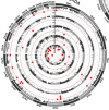 thumbnail image from paper