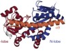thumbnail image from paper