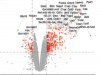 thumbnail image from paper