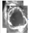 thumbnail image from paper