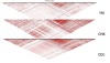 thumbnail image from paper