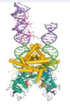thumbnail image from paper