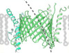 thumbnail image from paper