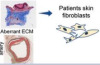 thumbnail image from paper