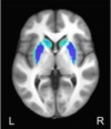 thumbnail image from paper