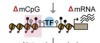 thumbnail image from paper