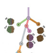 thumbnail image from paper