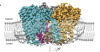 thumbnail image from paper