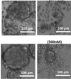 thumbnail image from paper