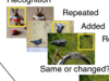 thumbnail image from paper