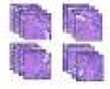 thumbnail image from paper