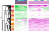 thumbnail image from paper