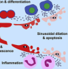 thumbnail image from paper