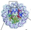 thumbnail image from paper