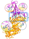thumbnail image from paper