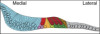 thumbnail image from paper