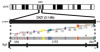 thumbnail image from paper