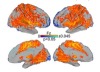 thumbnail image from paper