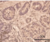 thumbnail image from paper