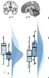 thumbnail image from paper