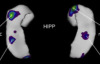 thumbnail image from paper