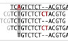 thumbnail image from paper