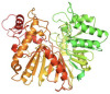 thumbnail image from paper