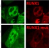 thumbnail image from paper