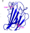 thumbnail image from paper